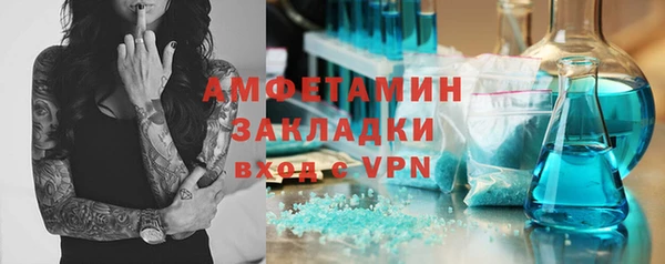 ГАЛЛЮЦИНОГЕННЫЕ ГРИБЫ Осинники