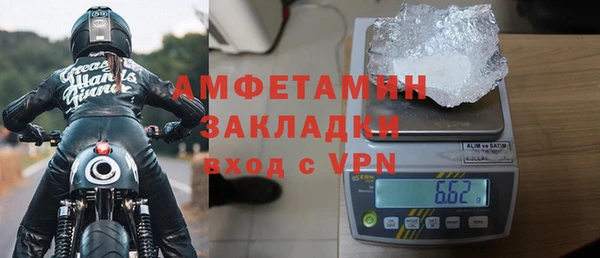 ГАЛЛЮЦИНОГЕННЫЕ ГРИБЫ Осинники