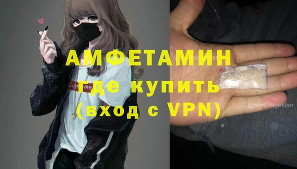 спиды Пересвет