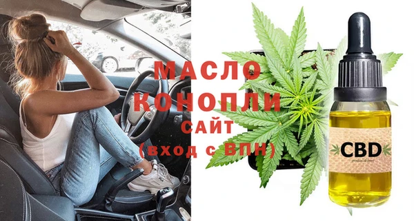 сатива Осташков