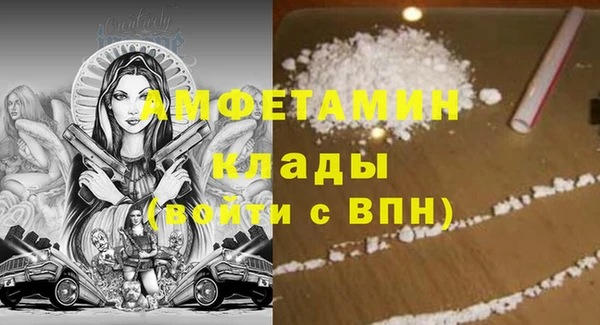 сатива Осташков