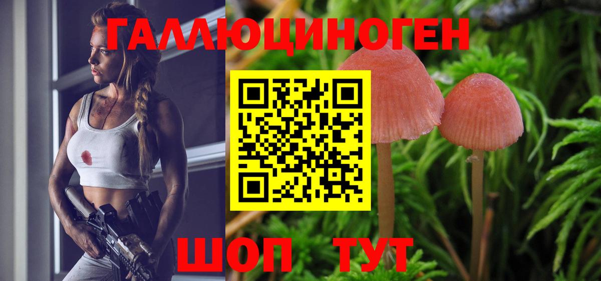 Галлюциногенные грибы Magic Shrooms  Галлюциногенные грибы прущие грибы  Вход с VPN  Кинель 